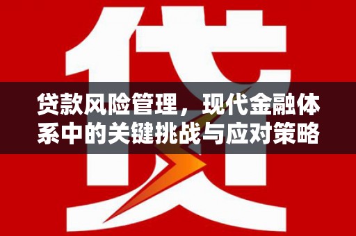 泰顺贷款风险管理，现代金融体系中的关键挑战与应对策略