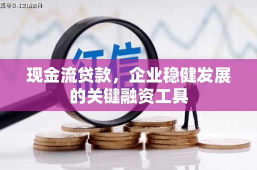 泰顺现金流贷款，企业稳健发展的关键融资工具