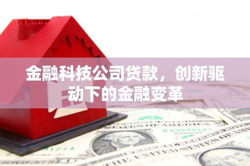 泰顺金融科技公司贷款，创新驱动下的金融变革