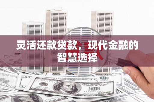 泰顺灵活还款贷款，现代金融的智慧选择