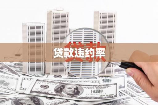 泰顺贷款违约率