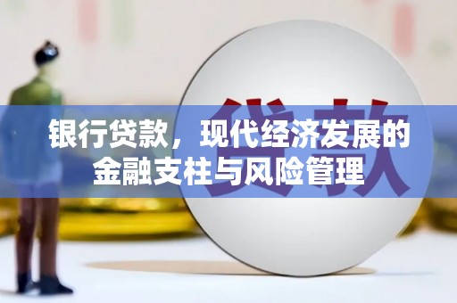 泰顺银行贷款，现代经济发展的金融支柱与风险管理