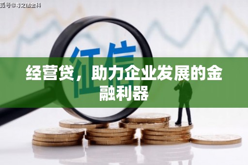 泰顺经营贷，助力企业发展的金融利器