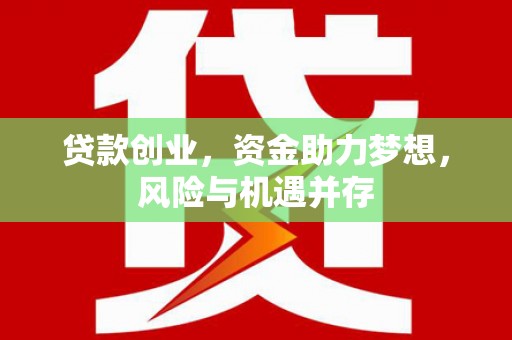 泰顺贷款创业，资金助力梦想，风险与机遇并存