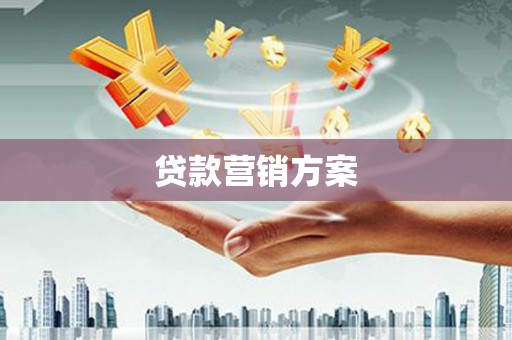 泰顺贷款营销方案