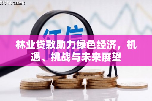 泰顺林业贷款助力绿色经济，机遇、挑战与未来展望