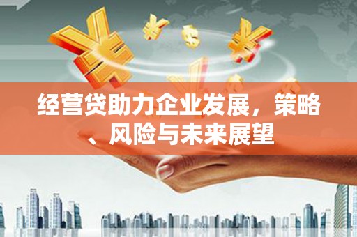 泰顺经营贷助力企业发展，策略、风险与未来展望