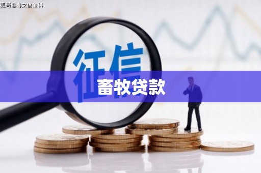 泰顺畜牧贷款
