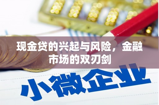 泰顺现金贷的兴起与风险，金融市场的双刃剑