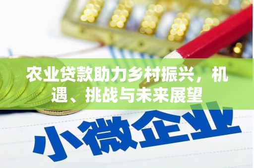 泰顺农业贷款助力乡村振兴，机遇、挑战与未来展望