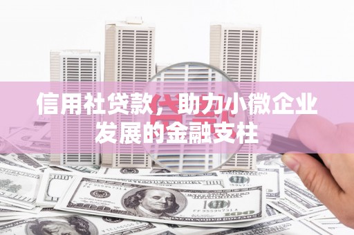 泰顺信用社贷款，助力小微企业发展的金融支柱