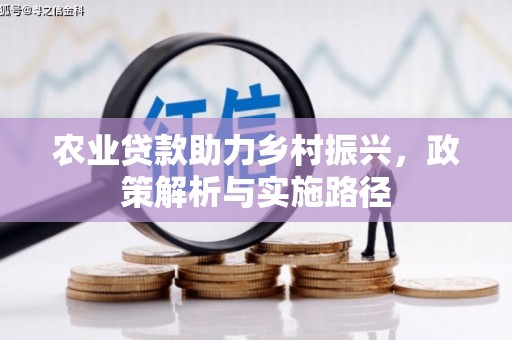 泰顺农业贷款助力乡村振兴，政策解析与实施路径
