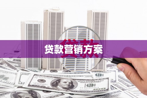 泰顺贷款营销方案
