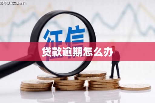 泰顺贷款逾期怎么办