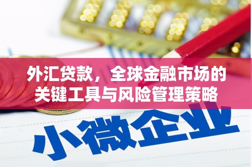 泰顺外汇贷款，全球金融市场的关键工具与风险管理策略