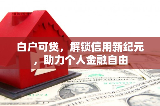 泰顺白户可贷，解锁信用新纪元，助力个人金融自由