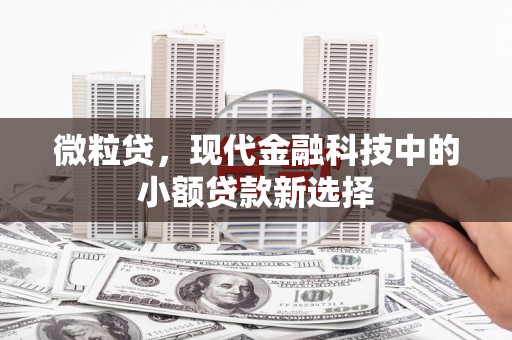 泰顺微粒贷，现代金融科技中的小额贷款新选择