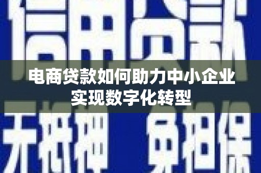 泰顺电商贷款如何助力中小企业实现数字化转型