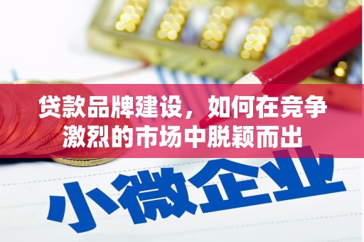 泰顺贷款品牌建设，如何在竞争激烈的市场中脱颖而出
