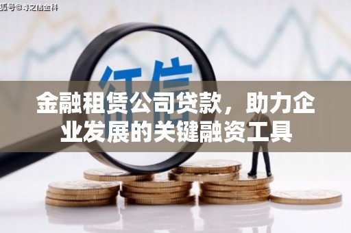 泰顺金融租赁公司贷款，助力企业发展的关键融资工具