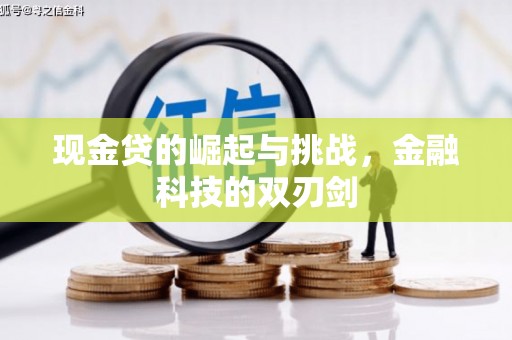 泰顺现金贷的崛起与挑战，金融科技的双刃剑