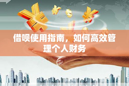 泰顺借呗使用指南，如何高效管理个人财务