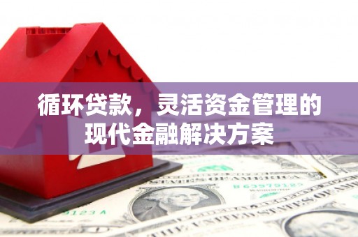 泰顺循环贷款，灵活资金管理的现代金融解决方案