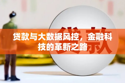 泰顺贷款与大数据风控，金融科技的革新之路