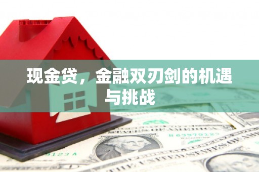 泰顺现金贷，金融双刃剑的机遇与挑战