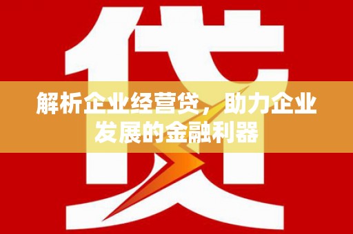 泰顺解析企业经营贷，助力企业发展的金融利器