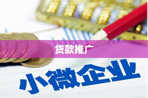 泰顺贷款推广