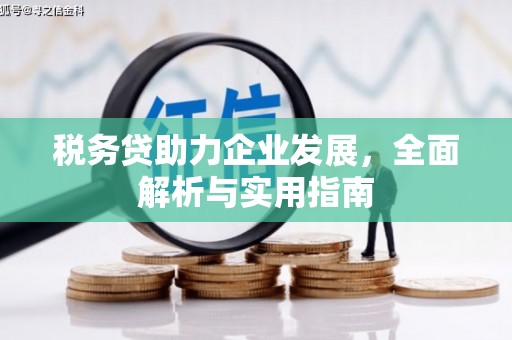 泰顺税务贷助力企业发展，全面解析与实用指南