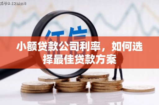 泰顺小额贷款公司利率，如何选择最佳贷款方案