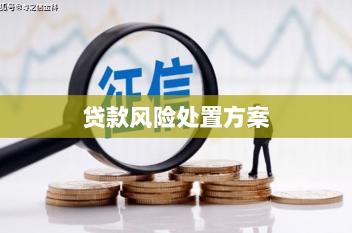 泰顺贷款风险处置方案