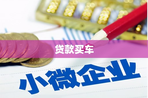 泰顺贷款买车