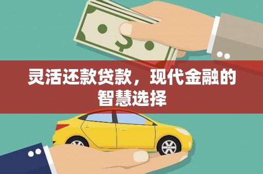 泰顺灵活还款贷款，现代金融的智慧选择