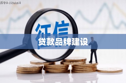 泰顺贷款品牌建设