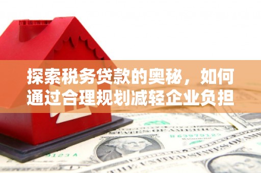 泰顺探索税务贷款的奥秘，如何通过合理规划减轻企业负担