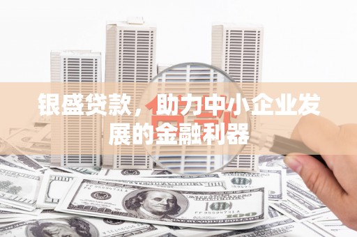 泰顺银盛贷款，助力中小企业发展的金融利器