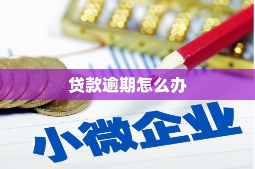 泰顺贷款逾期怎么办