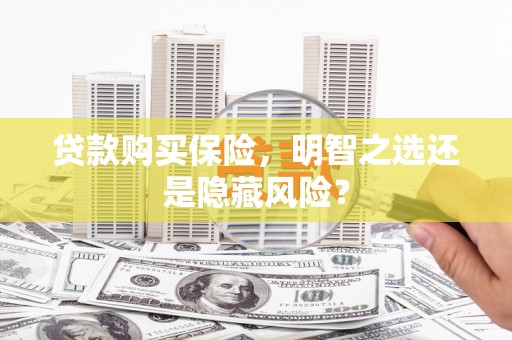 泰顺贷款购买保险，明智之选还是隐藏风险？