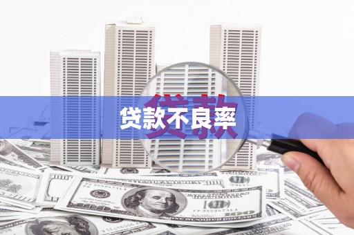 泰顺贷款不良率