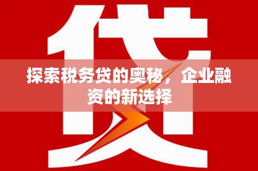 泰顺探索税务贷的奥秘，企业融资的新选择
