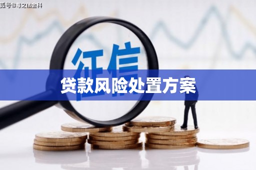泰顺贷款风险处置方案