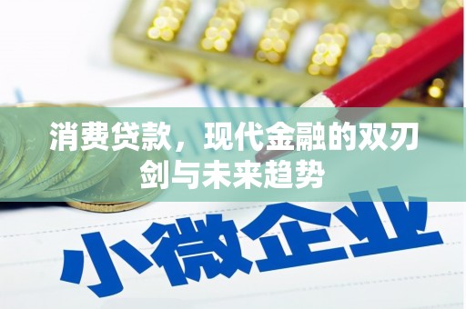泰顺消费贷款，现代金融的双刃剑与未来趋势