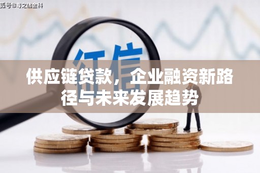 泰顺供应链贷款，企业融资新路径与未来发展趋势