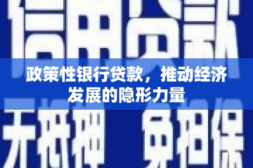 泰顺政策性银行贷款，推动经济发展的隐形力量