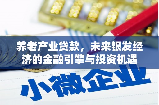 泰顺养老产业贷款，未来银发经济的金融引擎与投资机遇