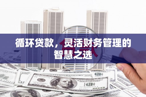 泰顺循环贷款，灵活财务管理的智慧之选