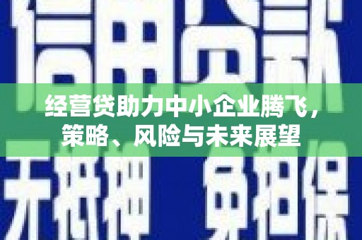 泰顺经营贷助力中小企业腾飞，策略、风险与未来展望